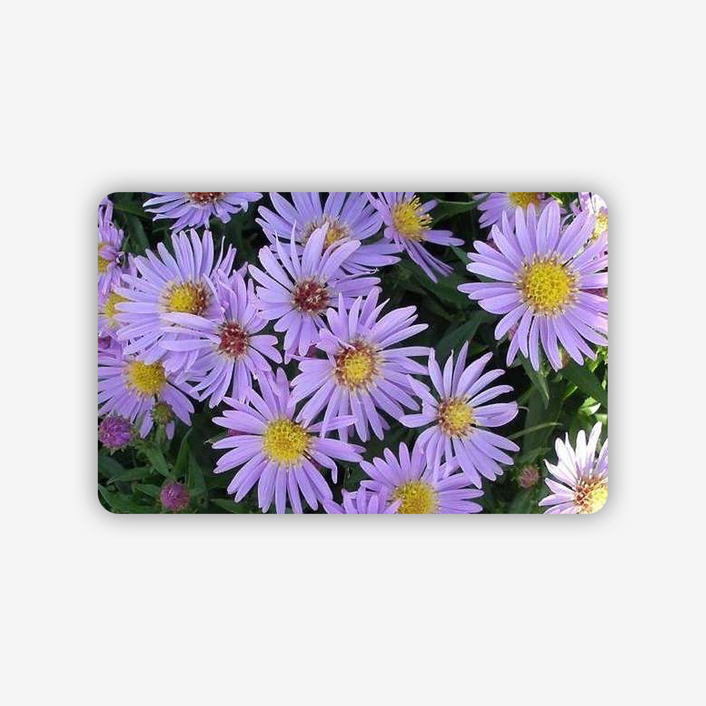 a0ef8eba-a504-4911-9eff-0ac34621c39c