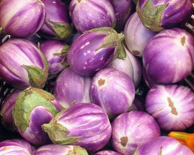 Eggplant 'Rosa Bianca' Plants