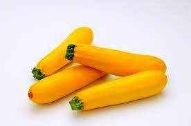 Zucchini 'Golden' Plants