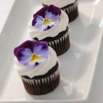 Pansy Cool Wave™ 'Violet Wing' Plants