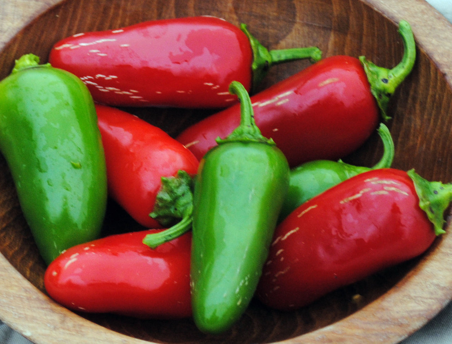 Pepper 'Early Jalapeno' Plants