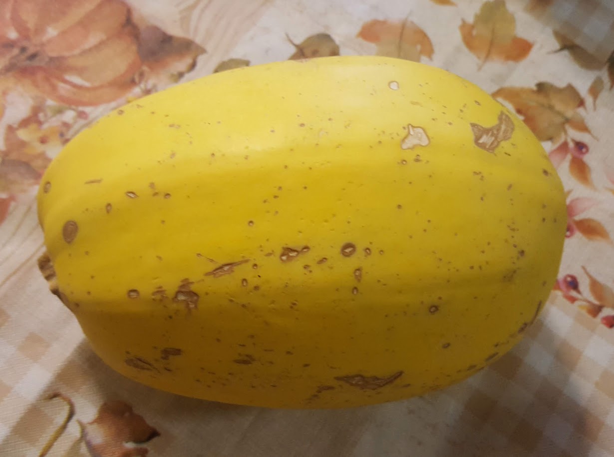 Spaghetti Squash Plants