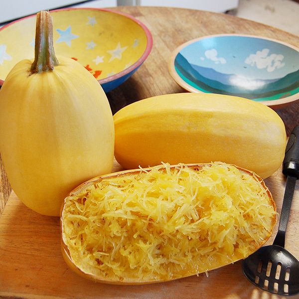 Spaghetti Squash Plants