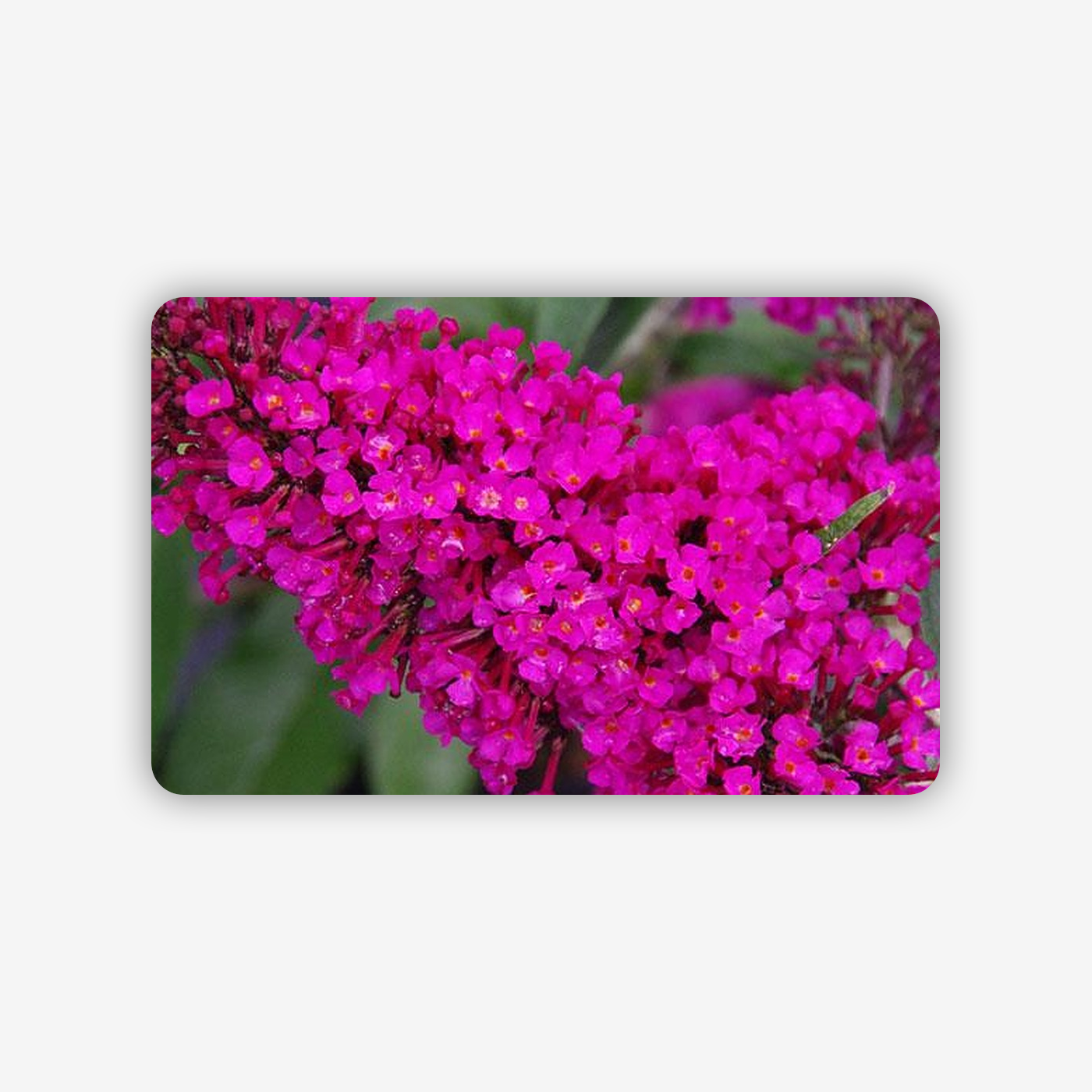 1e0194cf-e44a-4aa1-847e-cc9a8674c6ba