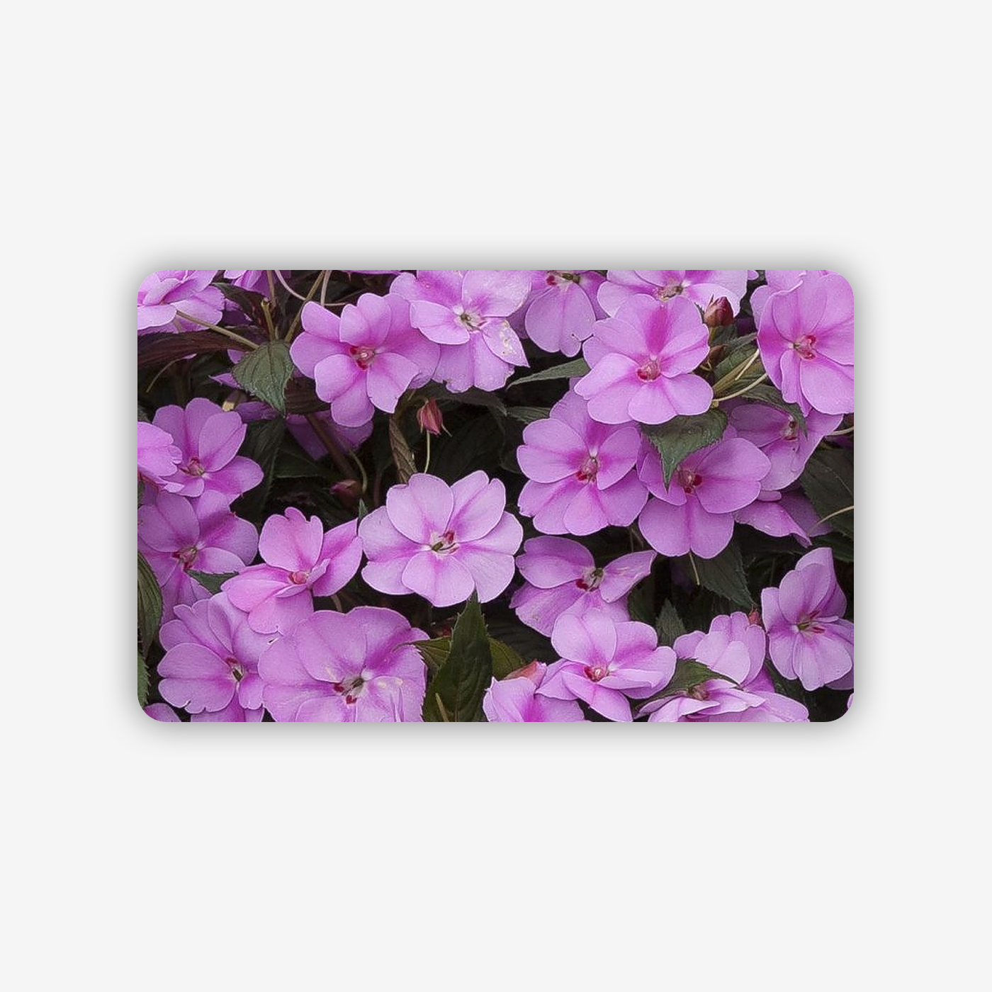 cafb4d4a-2e05-4914-bdb8-2a5701f50d9d