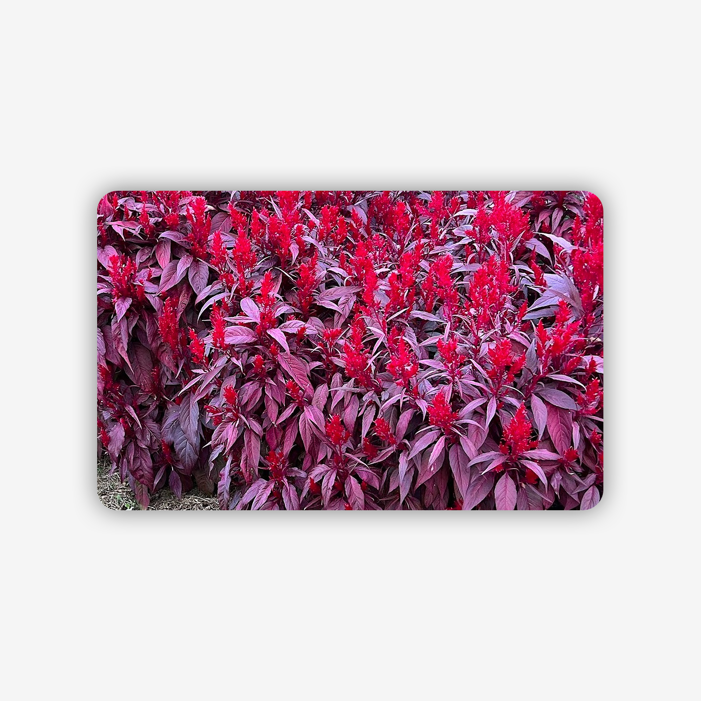 db5c8f05-2a1d-4e78-aac0-de2a5ee22368