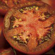 Tomato 'Cherokee Purple' Plants - Streambank Gardens
