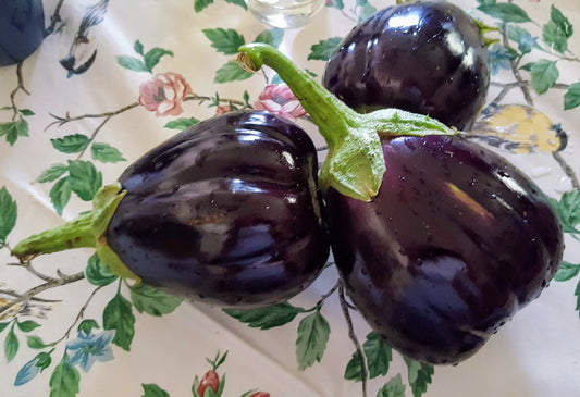 Eggplant 'Imperial Black Beauty' Plants
