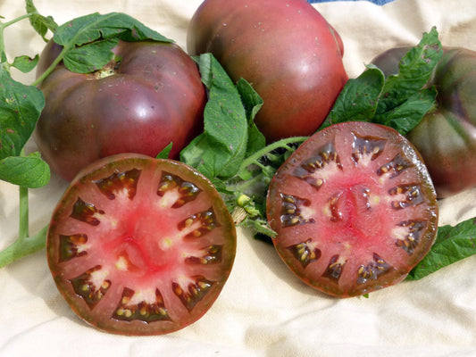 Tomato 'Black Brandywine' Plants