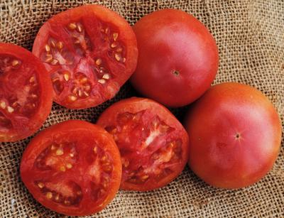 Tomato 'Eva Purple Ball' Plants