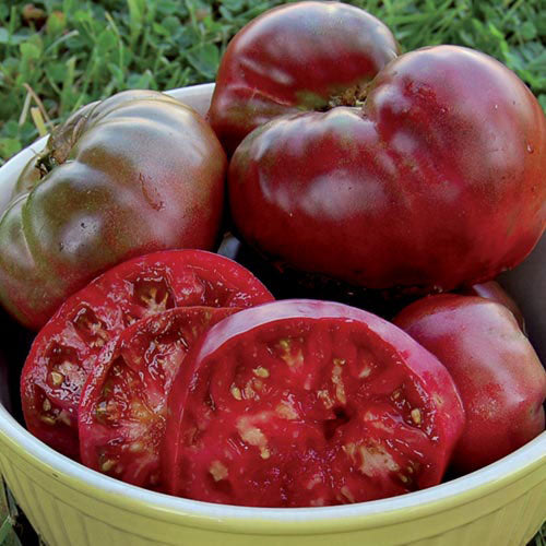 Tomato 'Black Krim' Plants
